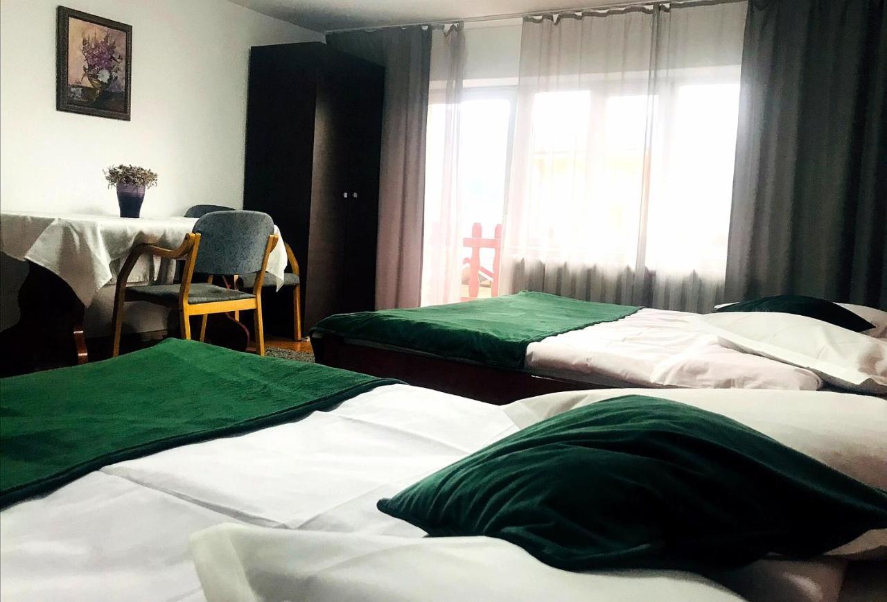 Apartament Sarco Villa Vatra Dornei Ngoại thất bức ảnh