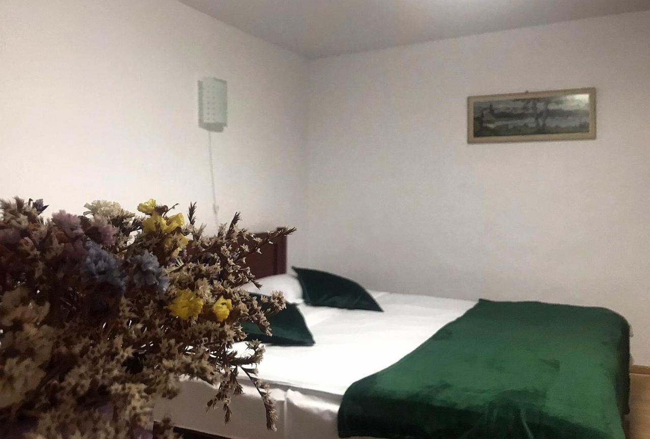 Apartament Sarco Villa Vatra Dornei Ngoại thất bức ảnh